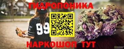 ГАЛЛЮЦИНОГЕННЫЕ ГРИБЫ Камышлов