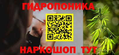 стафф Кандалакша