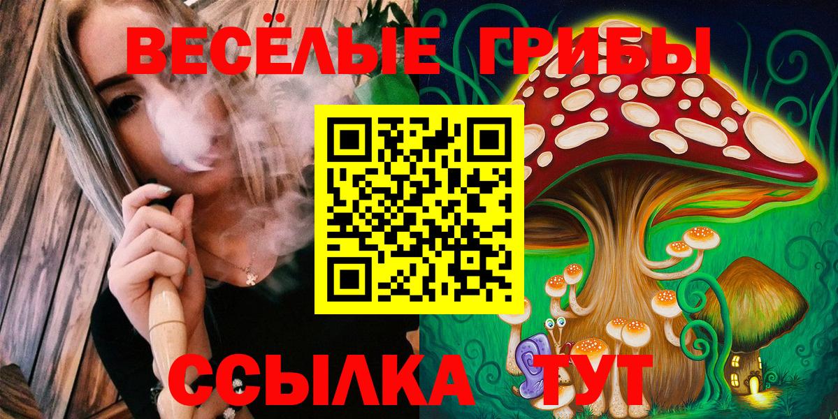 Донецк  Галлюциногенные грибы Psilocybe  Вход с VPN 