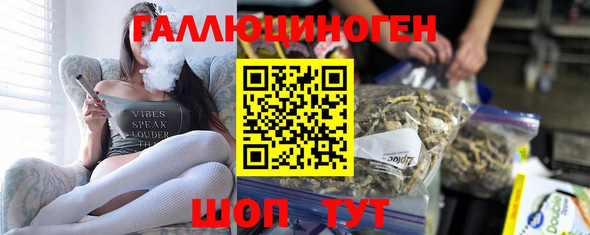 Псилоцибиновые грибы мицелий Донецк